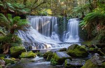 Mt Field National Park and Russell Falls from Hobart