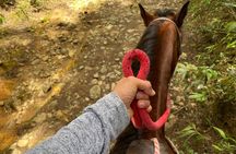 Horseback Ride Around Medellín's Beautiful Countryside!