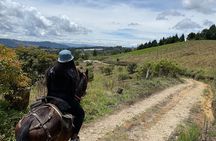 Horseback Ride Around Medellín's Beautiful Countryside!