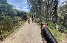 Horseback Ride Around Medellín's Beautiful Countryside!