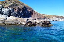 Best Tour to Coronados Island