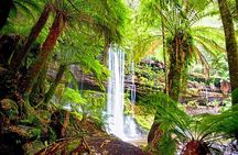 Mt Field National Park and Russell Falls from Hobart