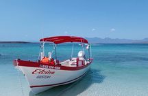 Best Tour to Coronados Island