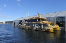 Hobart City Sightseeing Tour including MONA Admission