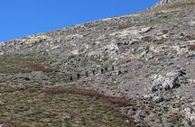Hiking in Psiloritis Mountain (Ida Mt.) Crete
