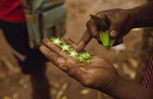 Full Day Trip to Stone Town, Spice Farms and Prison Island