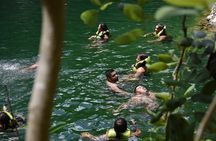Cancun: Discover the Hidden Treasures: Exploring 3 Jungle Cenotes