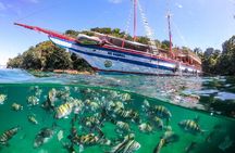 Angra dos Reis and Ilha Grande, Boat Ride from Rio Lunch and Transport