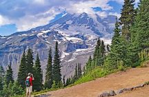 Full-Day Mt Rainier National Park Private Tour in SUV