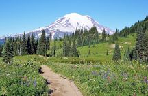 Full-Day Mt Rainier National Park Private Tour in SUV