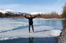 Premiere City Tour of Anchorage-Mountain views & Native Culture 