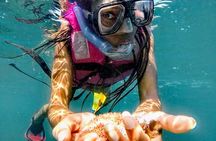 Sun, Sea & Streets: Beach Day + Snorkel Adventure & City Tour