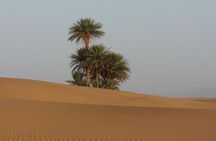 From Agadir or Taghazout or Port Desert Sahara Dunes Trip With Lunch