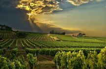 Best Cape Winelands Day Tour from Cape Town Hotels
