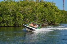 Jungle Tour adventure Cancun Speed Boat Through Mangrove