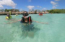 Small Group Snorkeling at Mangel Halto Aruba