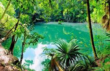 TOUR CENOTE AND SNORKELING WITH TURTLES (Private) 