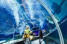 AquaRio, Museum, Boulevard Olimpico, Ferris Wheel, Transport and Tourism Guide.