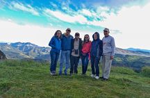 Nature and Birding Experience in Yanachocha Reserve