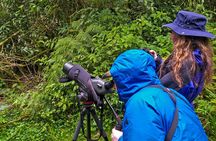 Nature and Birding Experience in Yanachocha Reserve