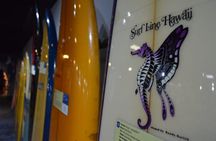AquaRio, Museum, Boulevard Olimpico, Ferris Wheel, Transport and Tourism Guide.