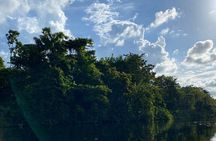 Canje Creek Sunset Tour