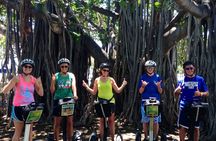 Magic Island and Point Panic Beach 2.5 Hour Segway Tour