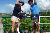 Kaka'ako Segway Adventure: Waterfront Park and Stunning Murals