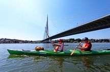  Kayaking under Belgrade bridges
