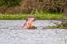 Day Tour to Crescent Island in Naivasha