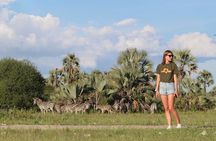 5-Day Highlights mid-Range Crater, Serengeti, Tarangire