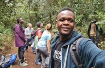 Mountain Kilimanjaro Day Hike