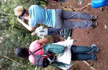Mountain Kilimanjaro Day Hike
