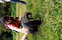 Mountain Kilimanjaro Day Hike