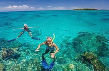 Private Full-day Dhow Cruise to Mnemba Island reef for Snorkeling