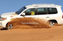 Morning Desert Safari in Dubai Private vehicle