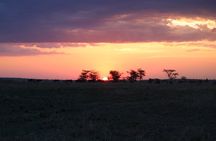 7-Day Private Tanzania Safari with Sunset Walking on the Crater Rim and Maasai