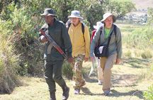 7-Day Private Tanzania Safari with Sunset Walking on the Crater Rim and Maasai