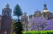 Mexico City History Tour with a Local Expert: 100% Personalized & Private 