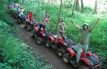 Day Tour Sapanca, Masukiye Tour from Istanbul