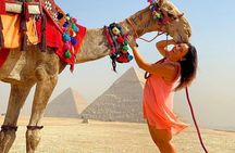 Top VIP All INC Tour-Pyramids,Sphinx,Camel Ride( 1h),fees&Lunch