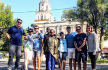 Coyoacán Walking Tour: Access to Frida Kahlo Museum & Tacos