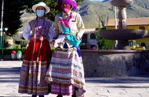 Full Day Trip to Colca Canyon from Arequipa