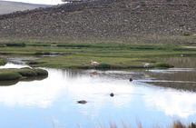 Tour Colca Canyon and Valley of the Volcanoes 3Days