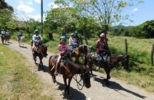 ATV and Horse Riding in Puerto Plata / Shore Excursion & Hotel