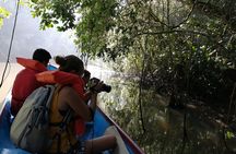 Tortuguero National Park Canal Tour with Canoe