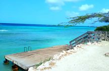 Shore Dive Aruba for Certified Divers