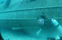 Shore Dive Aruba for Certified Divers