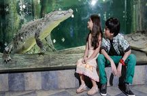 Burj Khalifa At The Top & Underwater Zoo Aquarium with Transfer