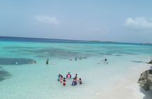 Aruba Snorkeling Tour: Mangel Halto and Baby Beach